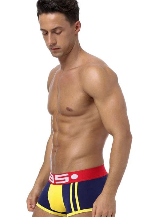 Expressing Pride: The Allure of Gay Jockstrap Fashion