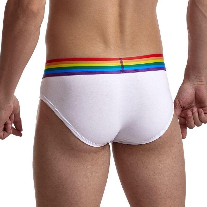 prince-wear Briefs JOCKMAIL | Pride Brief